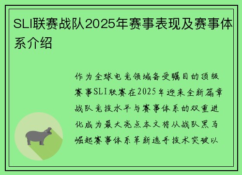 SLI联赛战队2025年赛事表现及赛事体系介绍